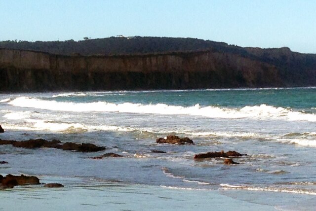 Anglesea cliffs