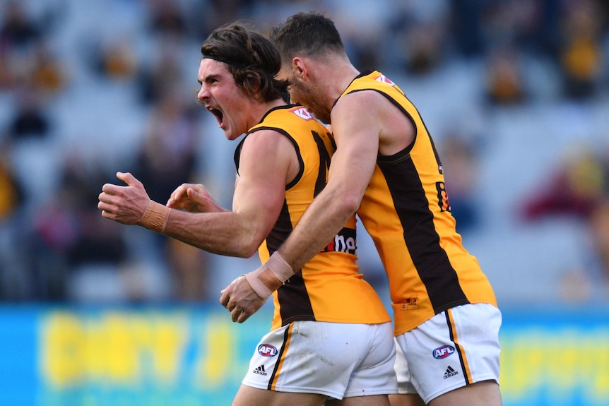 Two Hawthorn AFL players celebrate a goal against the Giants.