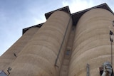 Len 'Squatter' Coffey stands in front of Yaapeet's 1939 grain silos.