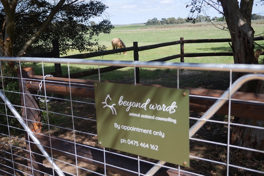 A green sign says 'Beyond Words' with lush green fields and a horse in the background