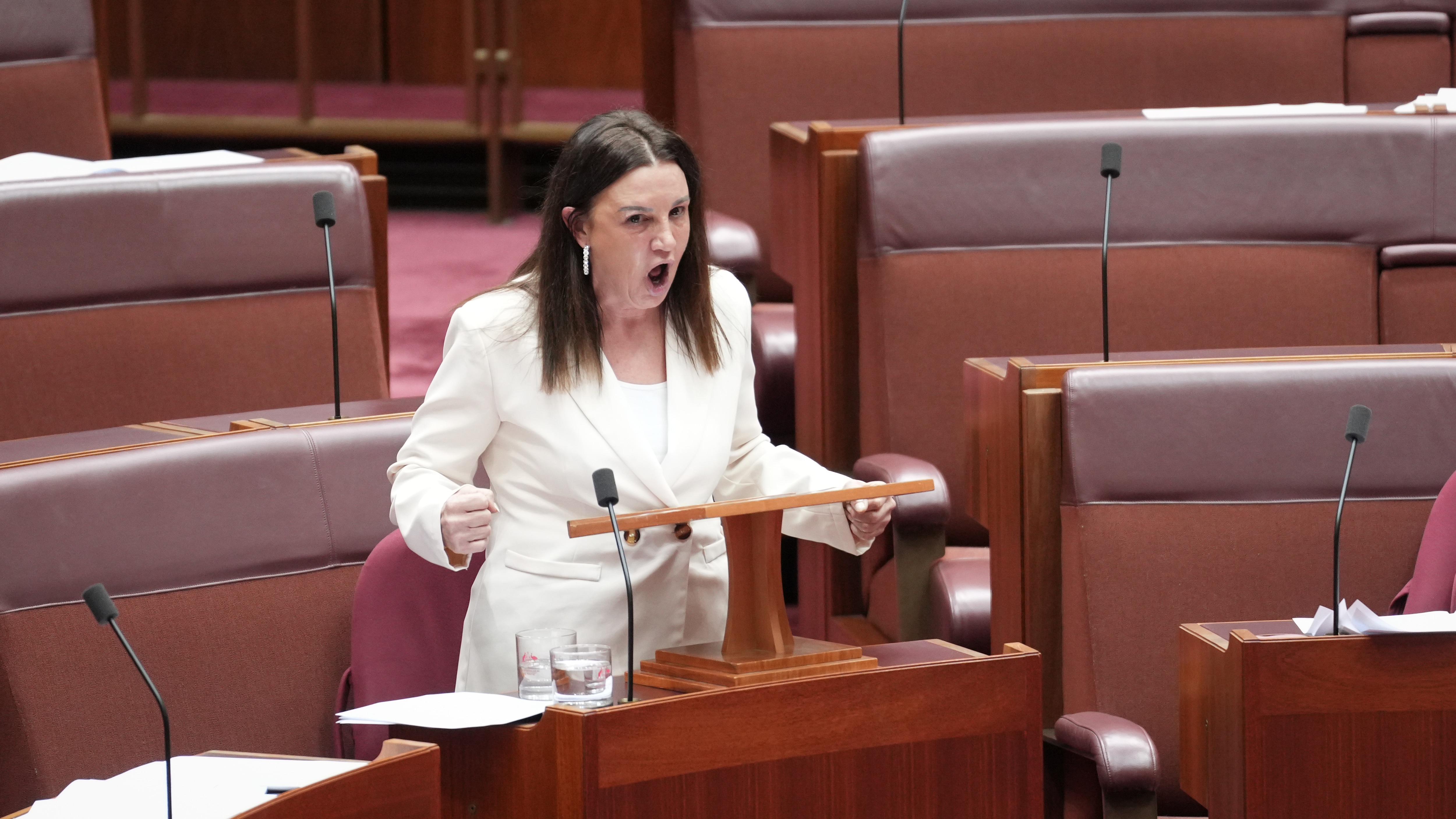 Jacqui Lambie slams 'nasty' One Nation cartoon mocking vaginal prolapse