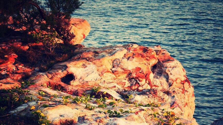 Sunset light bouncing of the sandstone cliffs of Fannie Bay.