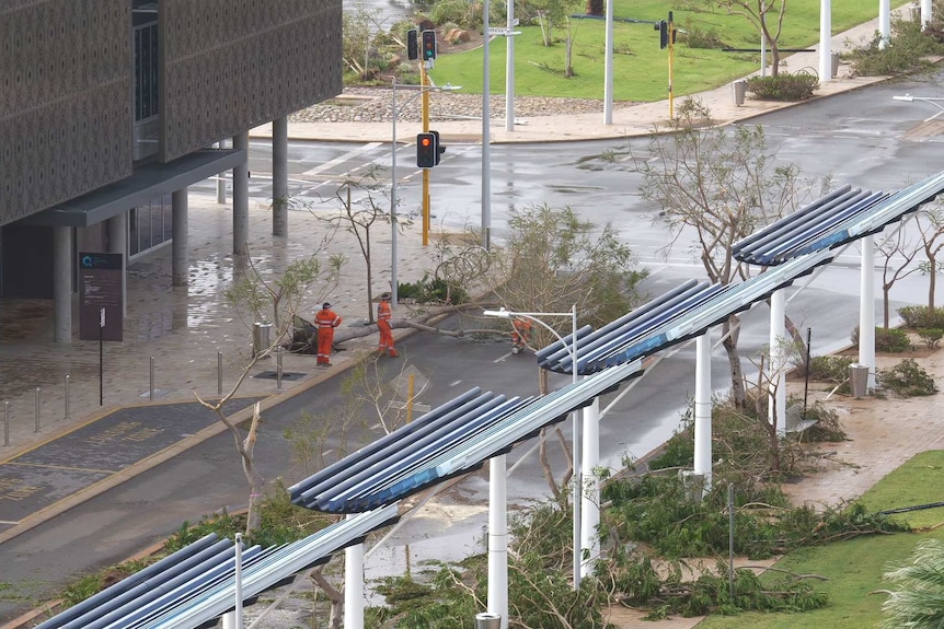 Trees lie in the street as SES volunteers work to clear them.