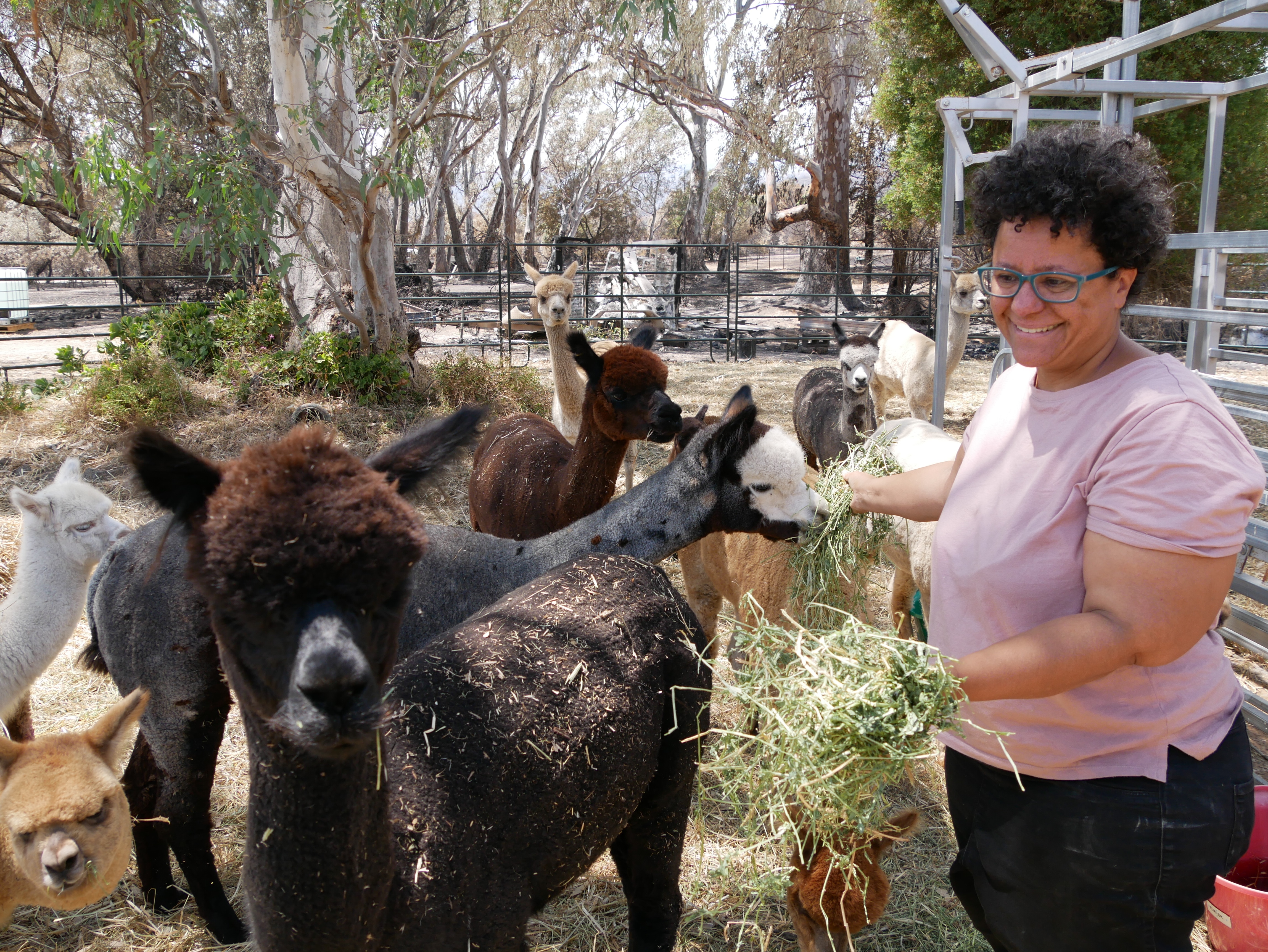 81a759e63ffd191b42f4ed4f23c993a8?impolicy=wcms_crop_resize&cropH=3061&cropW=4592&xPos=0&yPos=193&width=862&height=575