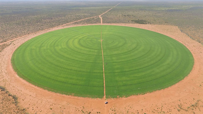 an aerial shot of a centre-pivot growing green grass surrounded by red soil.