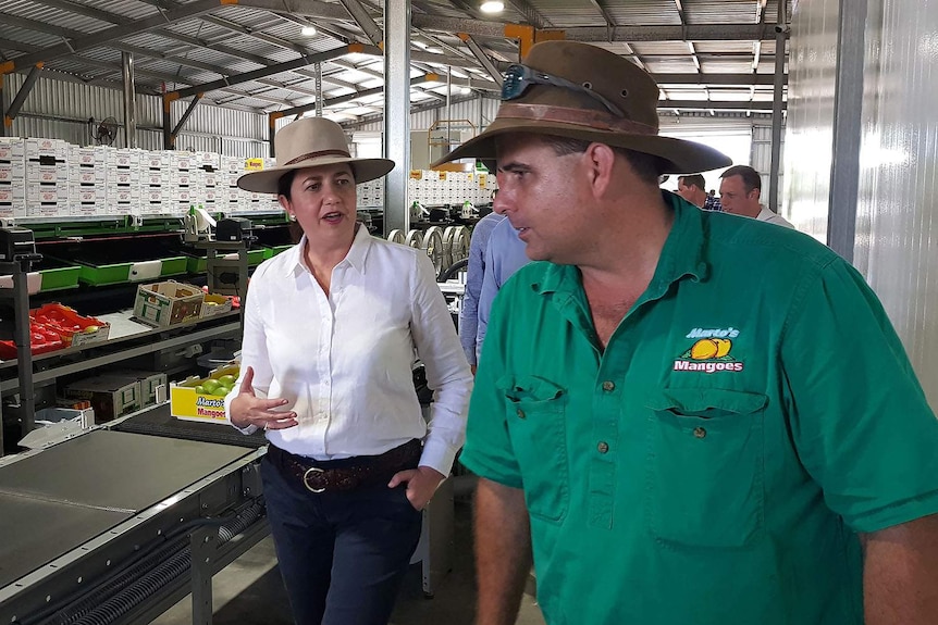 Premier Annastacia Palaszczuk speaks with Bowen mango farmer Carl Walker.