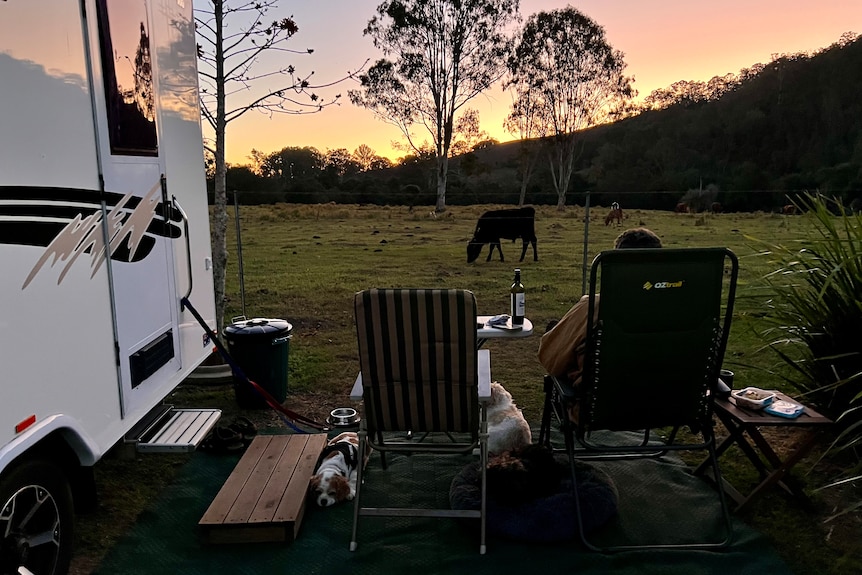 A person sits next to a caravan, enjoying some wine while watching the sun set over a paddock in which livestock graze.