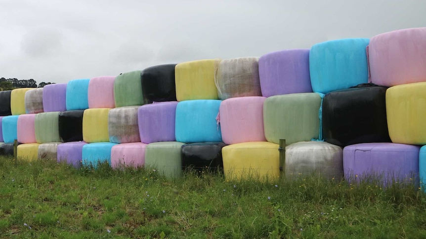 A line of silage bales stacked on top of each other in pastel colours.