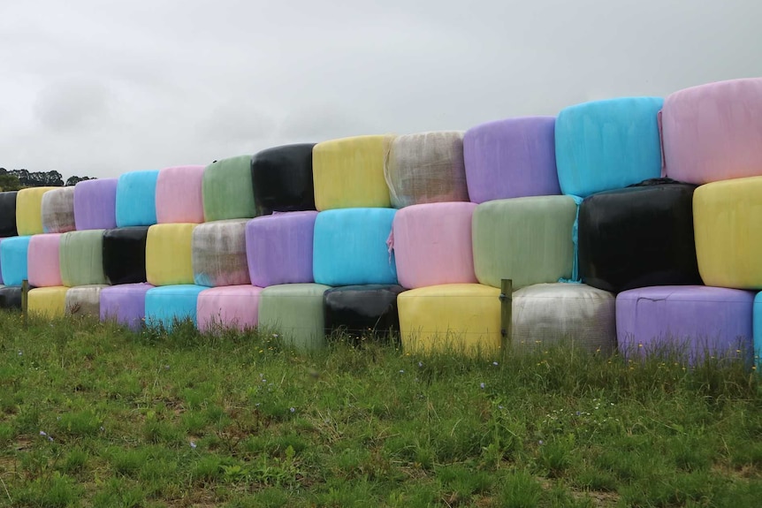 A line of silage bales stacked on top of each other in pastel colours.