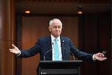 Malcolm Turnbull stands at a microphone holding his arms out wide.