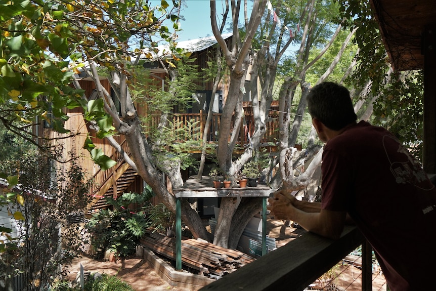 A silhouette of a man as he looks at a tree house through trees