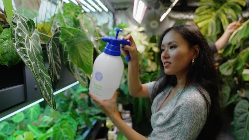 A woman holds up a water spray bottle and sprays foliage