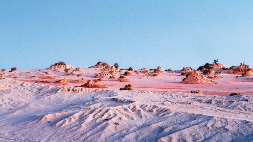 A desert landscape washed in soft pink tones