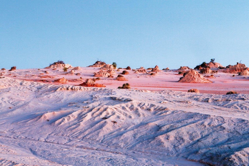 A desert landscape washed in soft pink tones