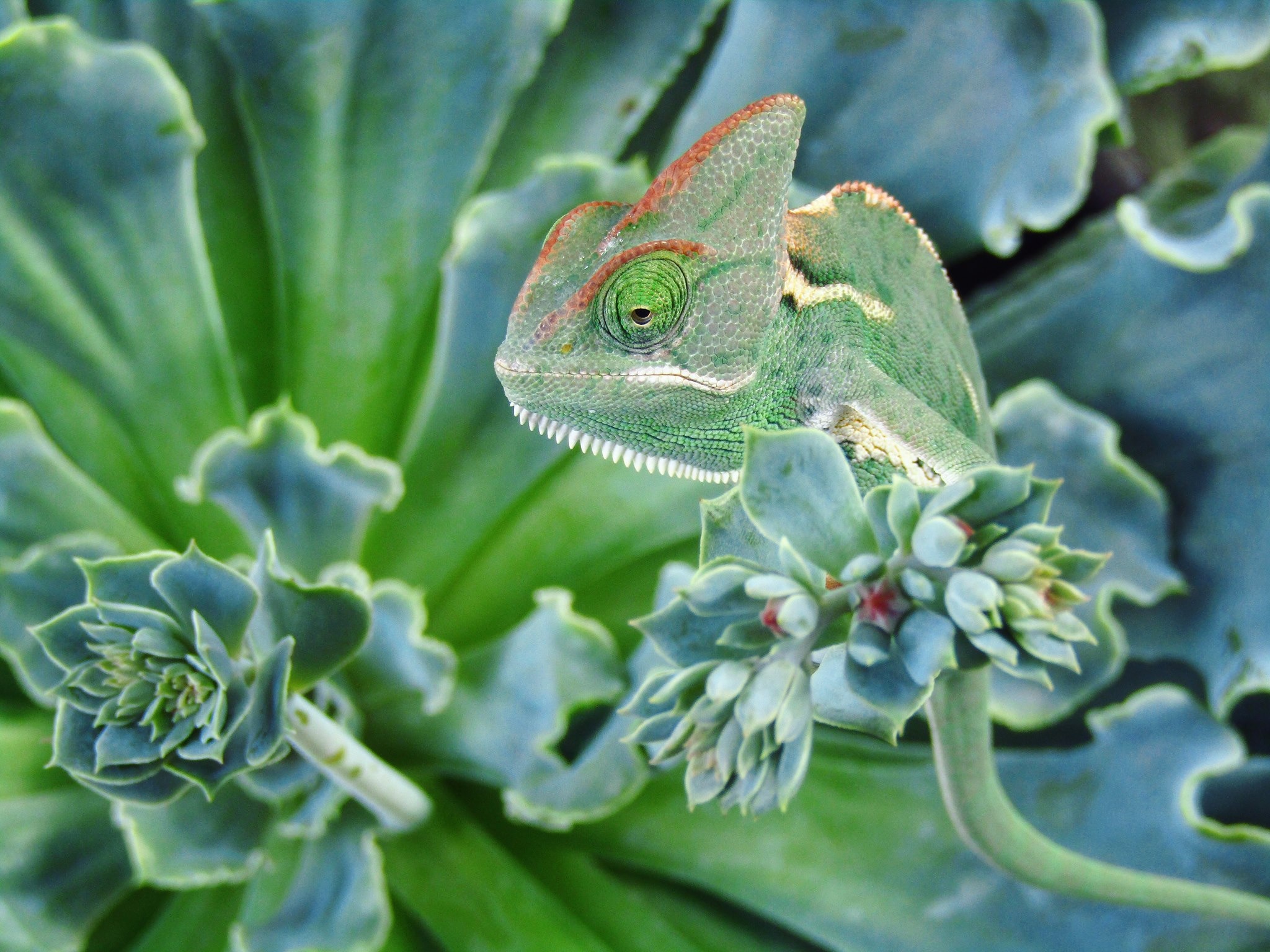 How nature is fooling us all