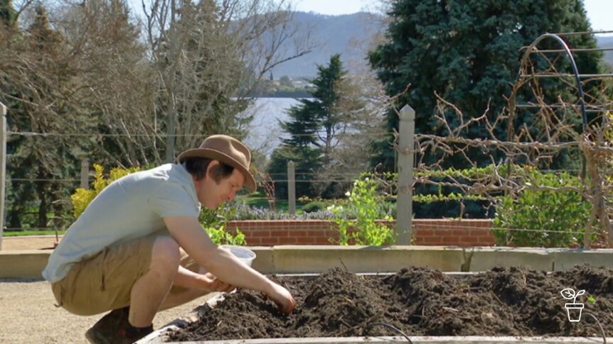 Describe Man in hat crouching down and planting seeds into vegie bed