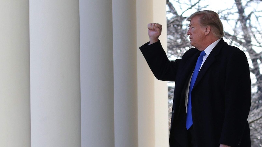 Donald Trump holds up his fist.