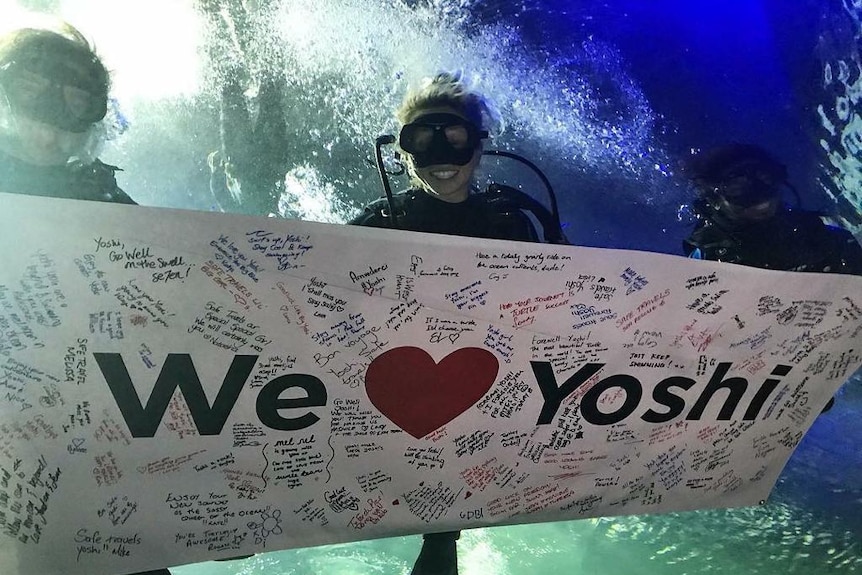 A pair of divers hold up a banner with messages of support for Yoshi