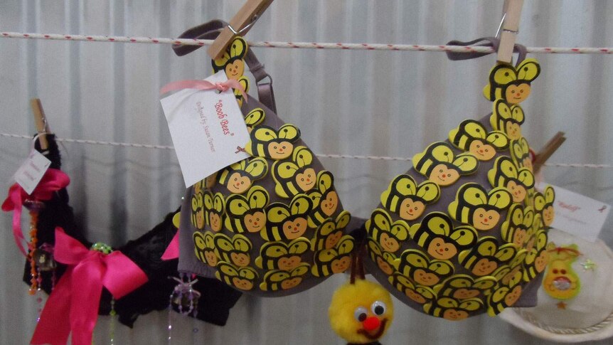 'Boob bees' bra artwork on display at Flinders Discovery Centre