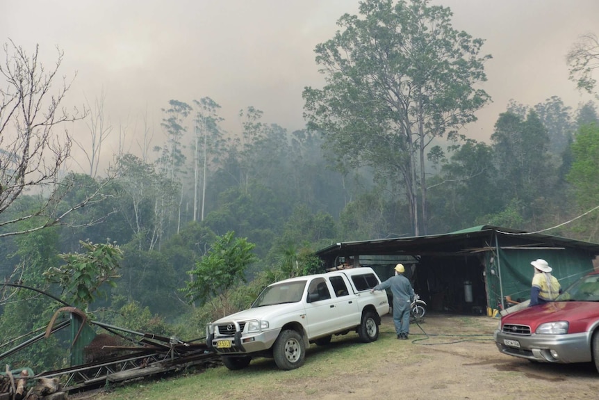 Wide images of two cars and two men looking toward smoke floating above and through trees on a wooded property.