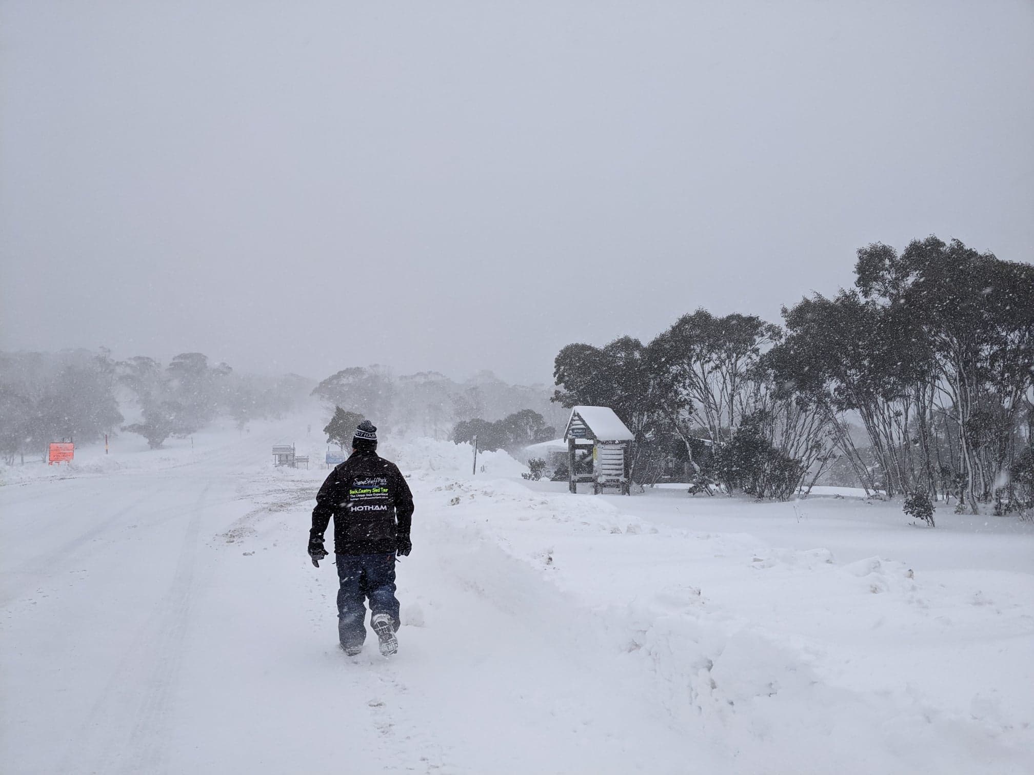 Кенгуру в снегу видео. В Австралии впервые за 35 лет настоящая зима bobruisk.r