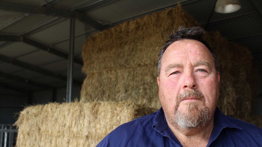 John Hunt dairy farmer in his shed next to hay