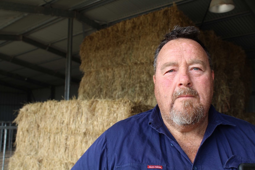 John Hunt dairy farmer in his shed next to hay