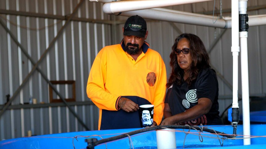 Man in orange shirt, woman in black shirt standing together in front of a blue fish tank