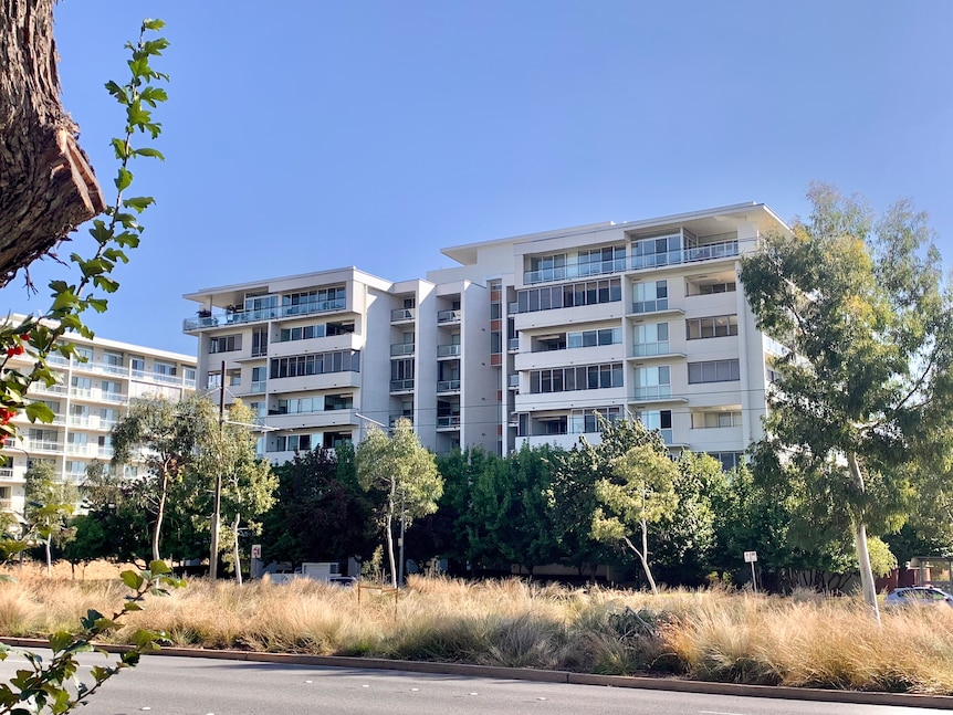 An apartment complex in Canberra with white walls and green trees around it 