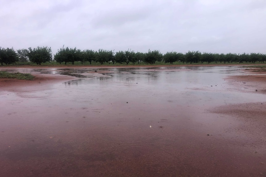 red dirt pools of water and grey skies