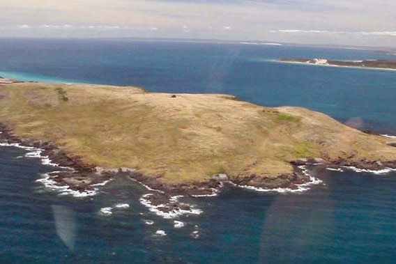 Waterhouse Island off Tasmania's north-east.