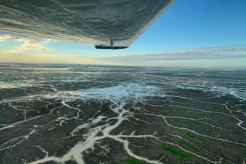 Rivulets in the channel country as seen from the sky. 