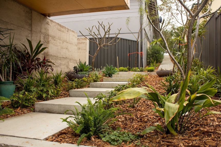 Lake house: instead of a driveway, a garden pathway connects the house to the street.