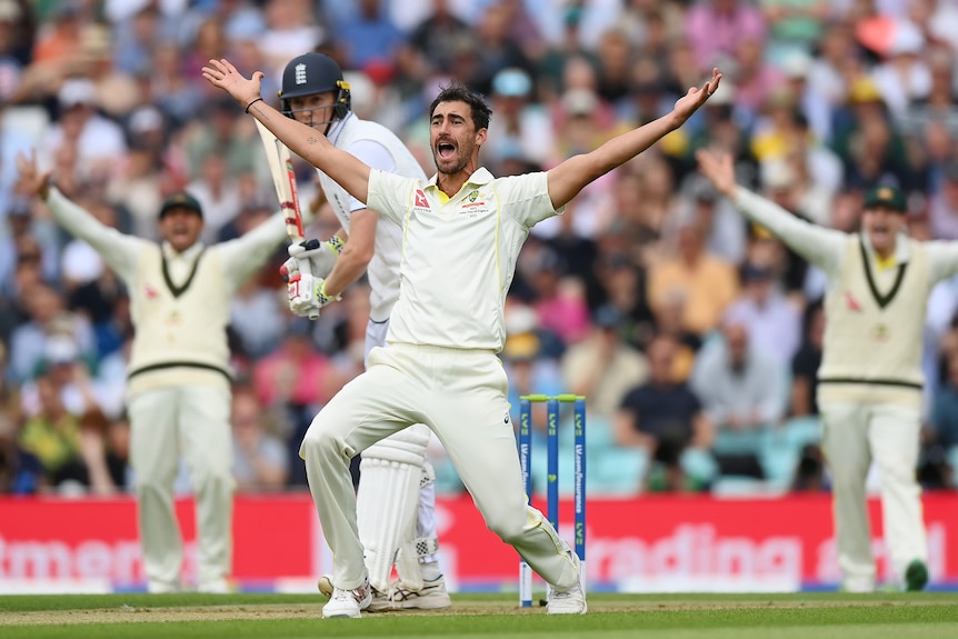 Mitchell Starc holds his arms out in appeal to the umpire as Zak Crawley watches on