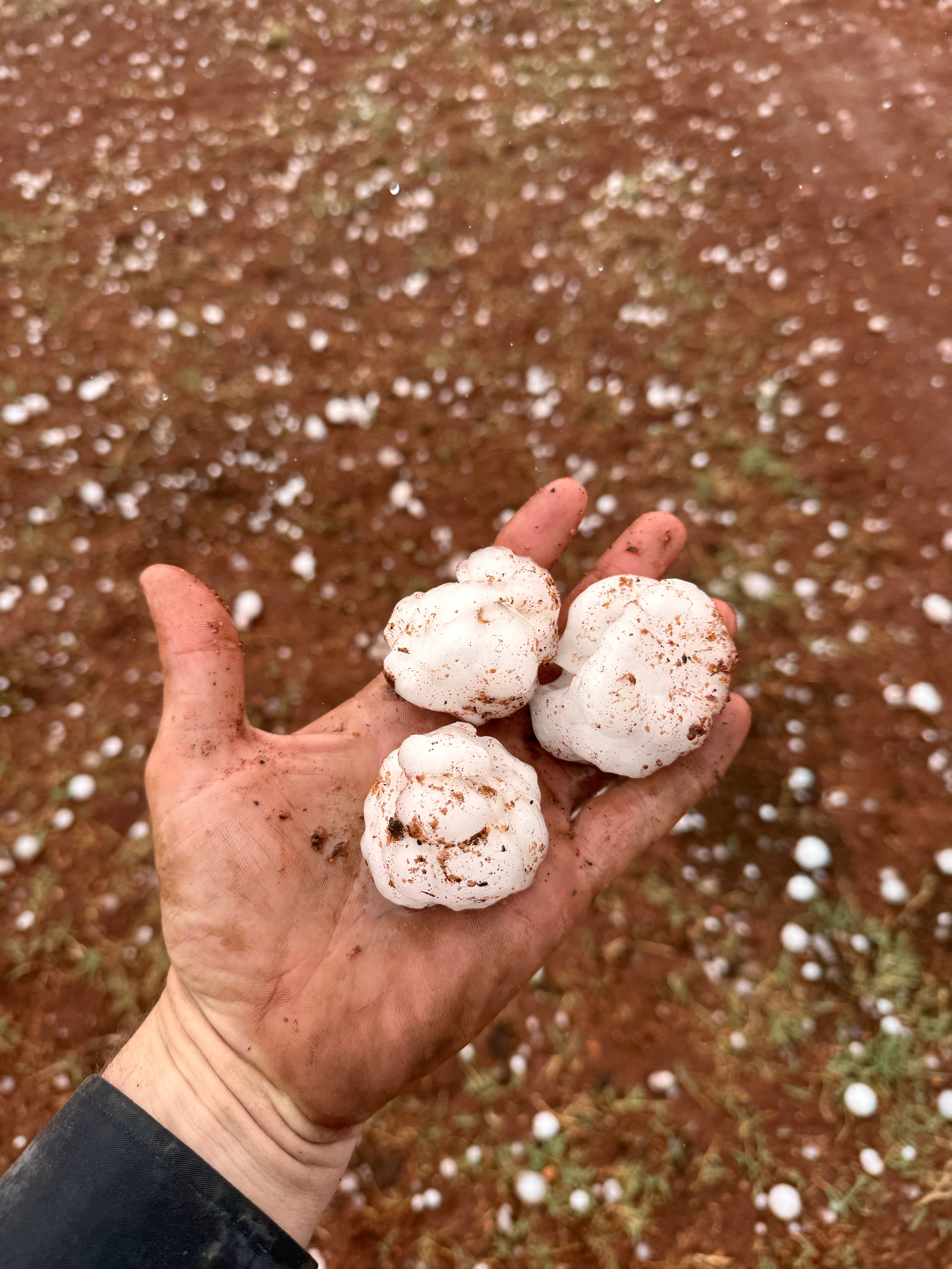 Storms 'swirling like a tornado' leave trail of destruction in parts of NT