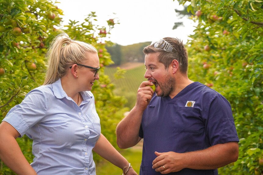 A man and woman in nurses uniforms stand among apple trees laughing.