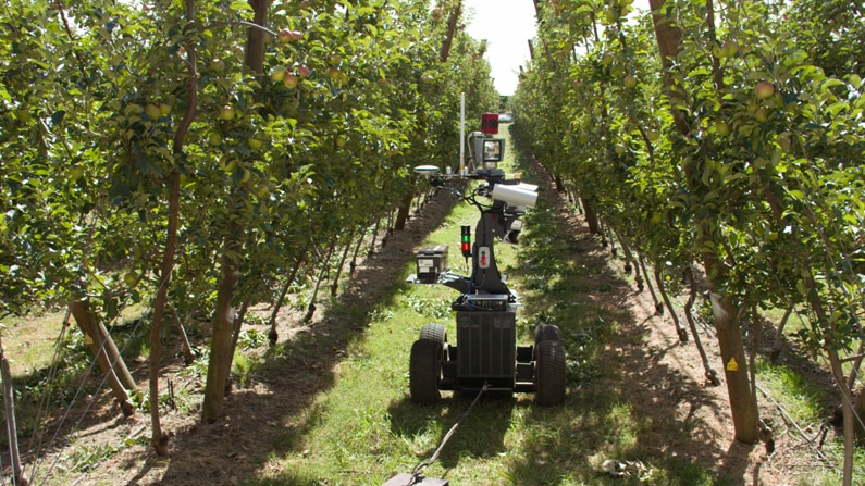 Robotic fruit picker