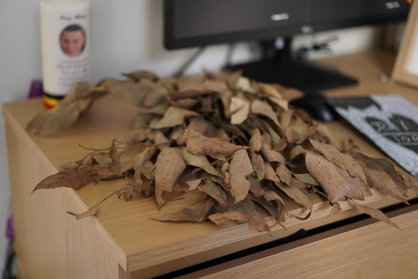 A bunch of dried up eucalyptus leaves on a brown table with a black and white card next to it