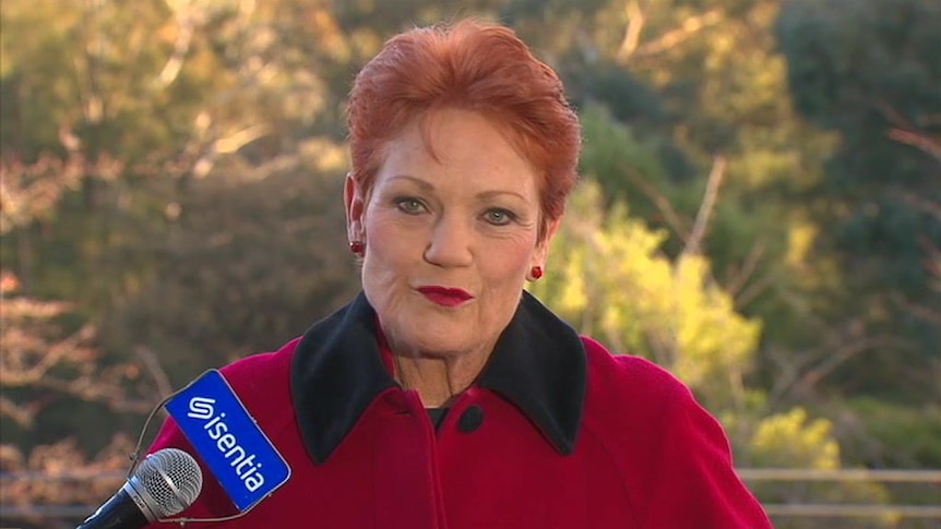 Pauline Hanson says she will support the Government's tax cuts despite concerns over stage three