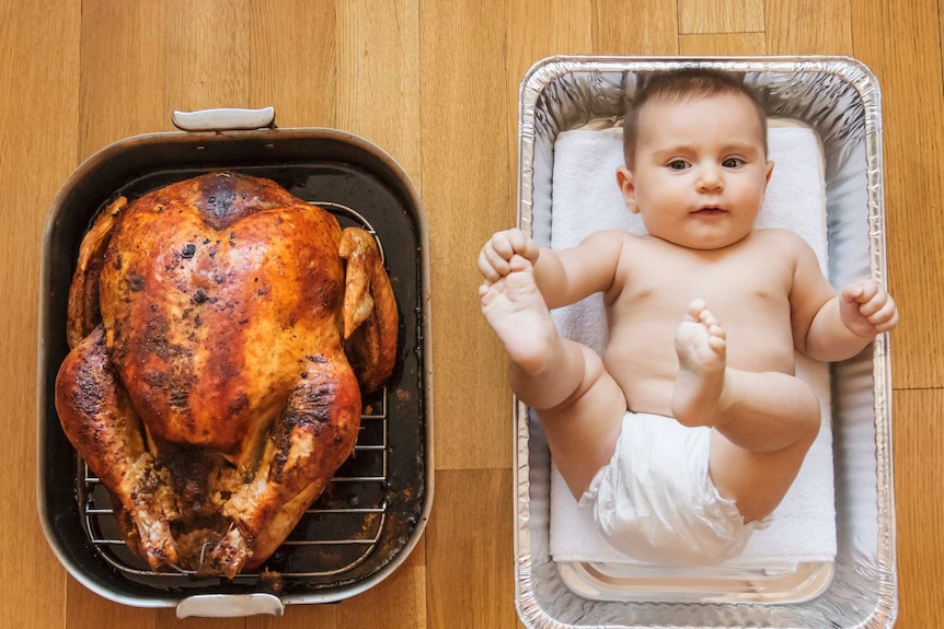 Stock image of a baked turkey and baby girl (2-5 months) in baking dish