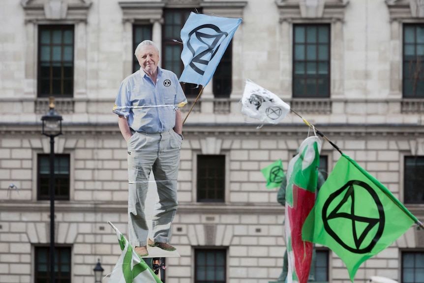 A cardboard cutout of Sir David Attenborough