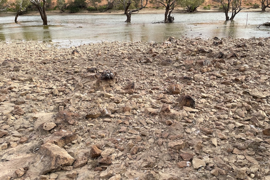 Eyre Creek shows signs of fish traps, set up by Australian traditional owners