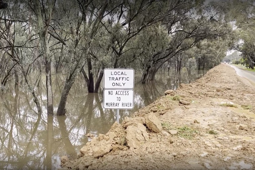 Flood waters on one side of a levee and a dry road on the other.