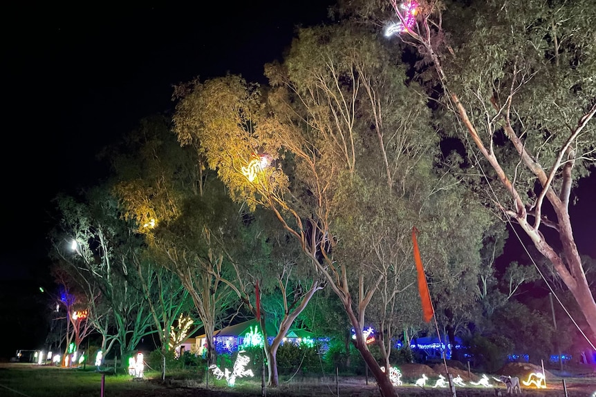 Trees in front of a house with Christmas lights including birds and possums.