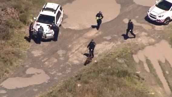 Gunman on the run after shooting south of Brisbane - ABC News