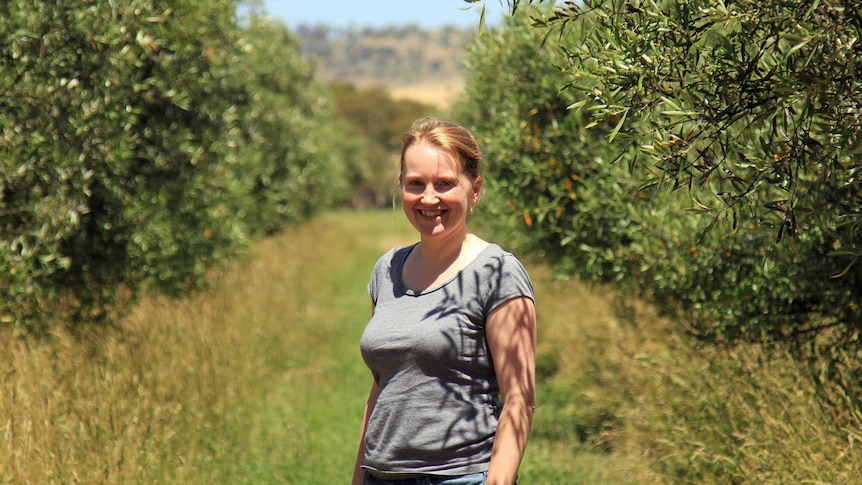 Dr Fiona Makowski in the olive grove