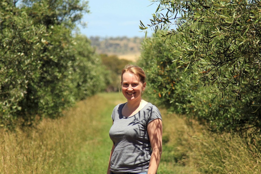Dr Fiona Makowski in the olive grove