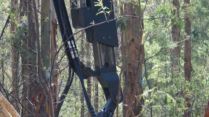 Forestry machinery holds logs in Tasmania