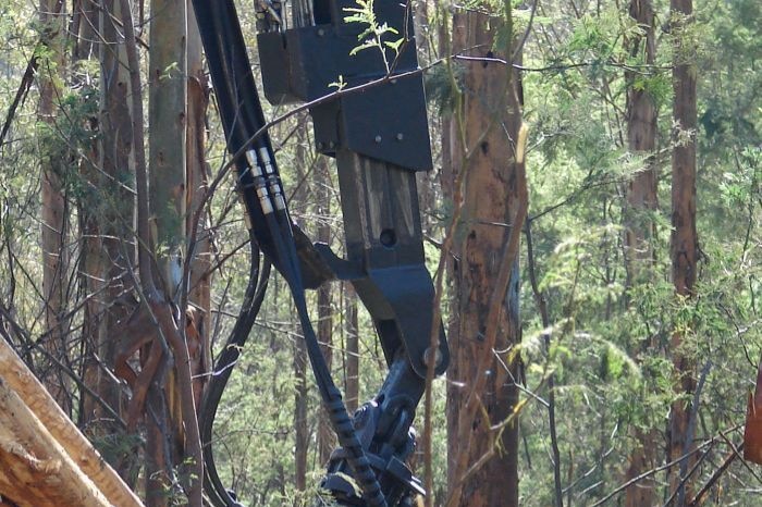 Forestry machinery holds logs in Tasmania