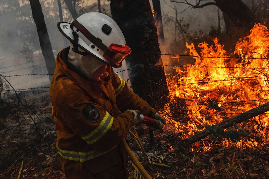 Fighting the 2013 Blue Mountains Bushfires